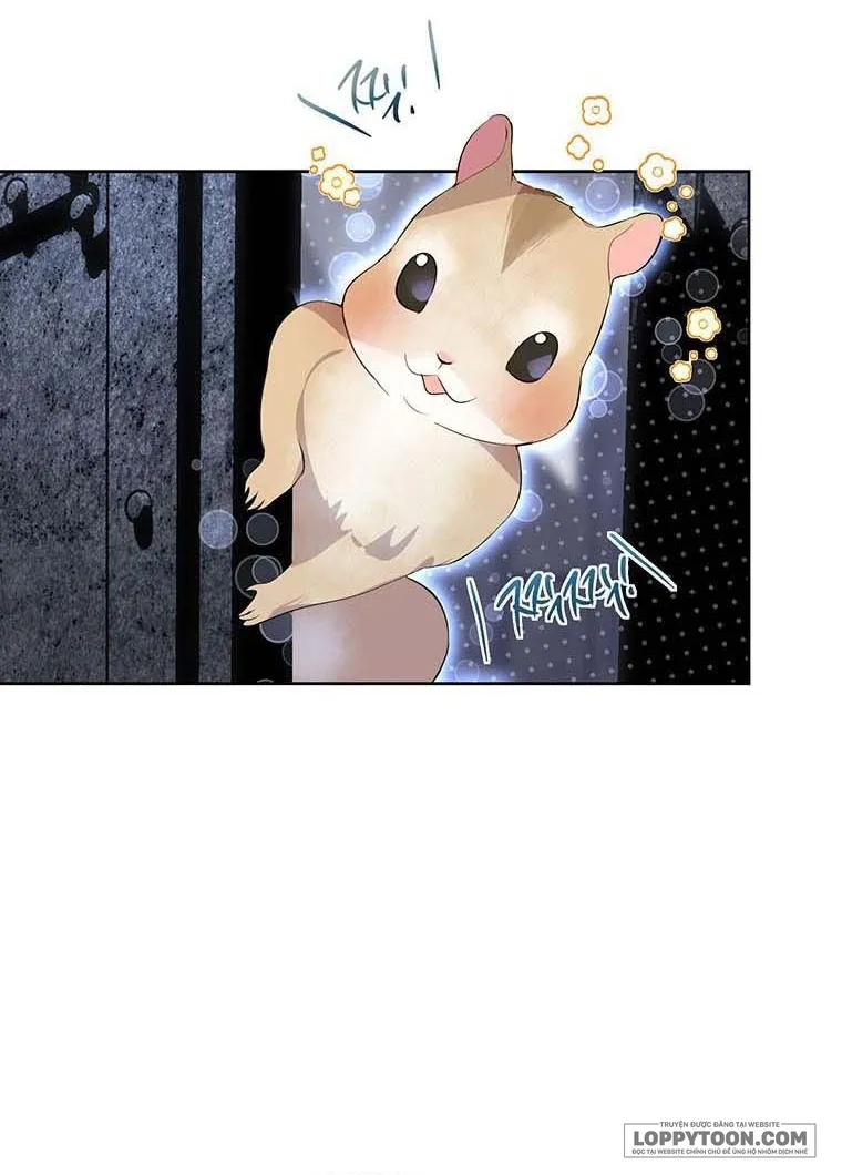 Phía Sau Mặt Nạ Của Nam Chính Hiền Lành - Chap 11 - Trang 23