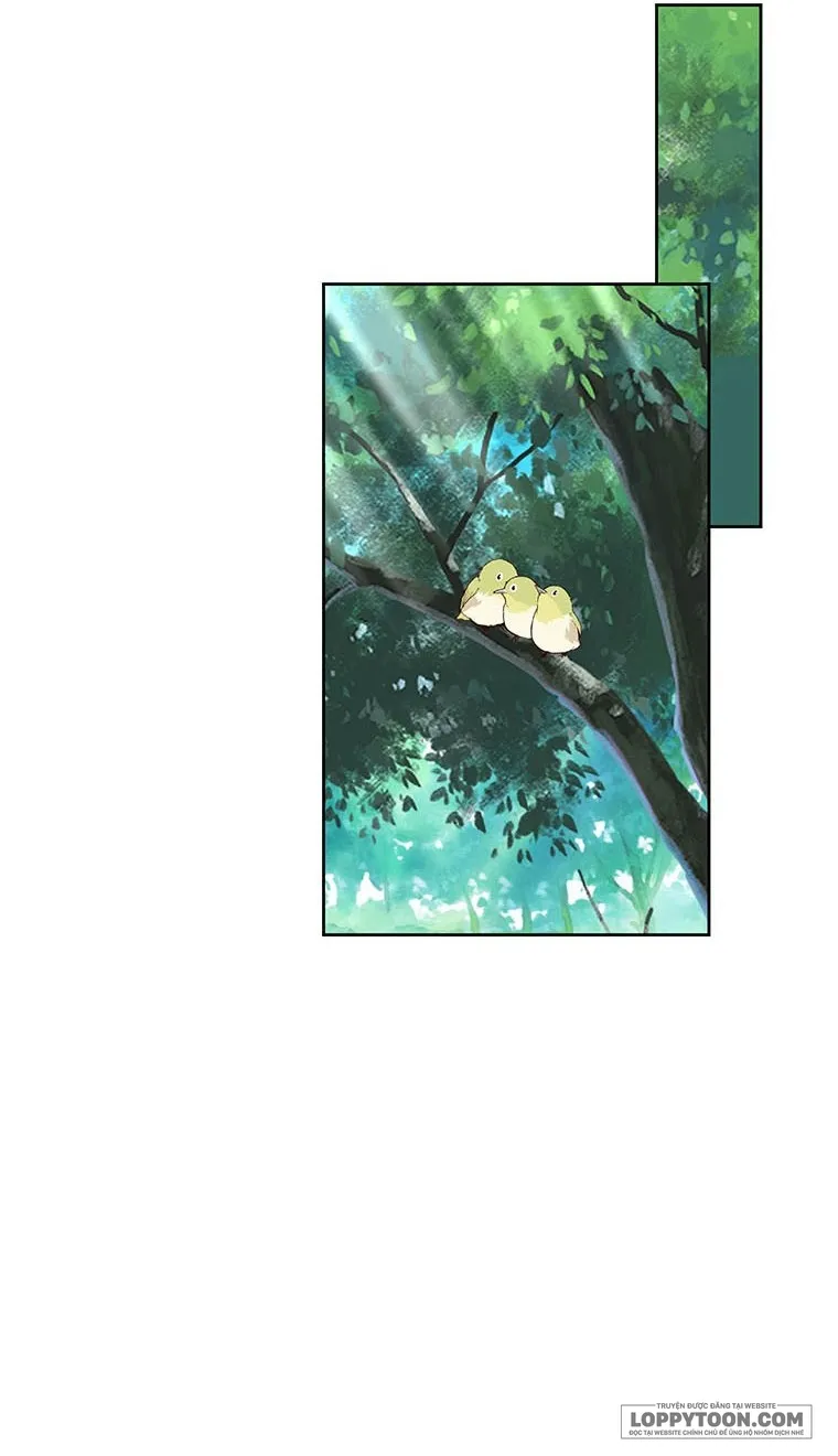 Phía Sau Mặt Nạ Của Nam Chính Hiền Lành - Chap 17 - Trang 10