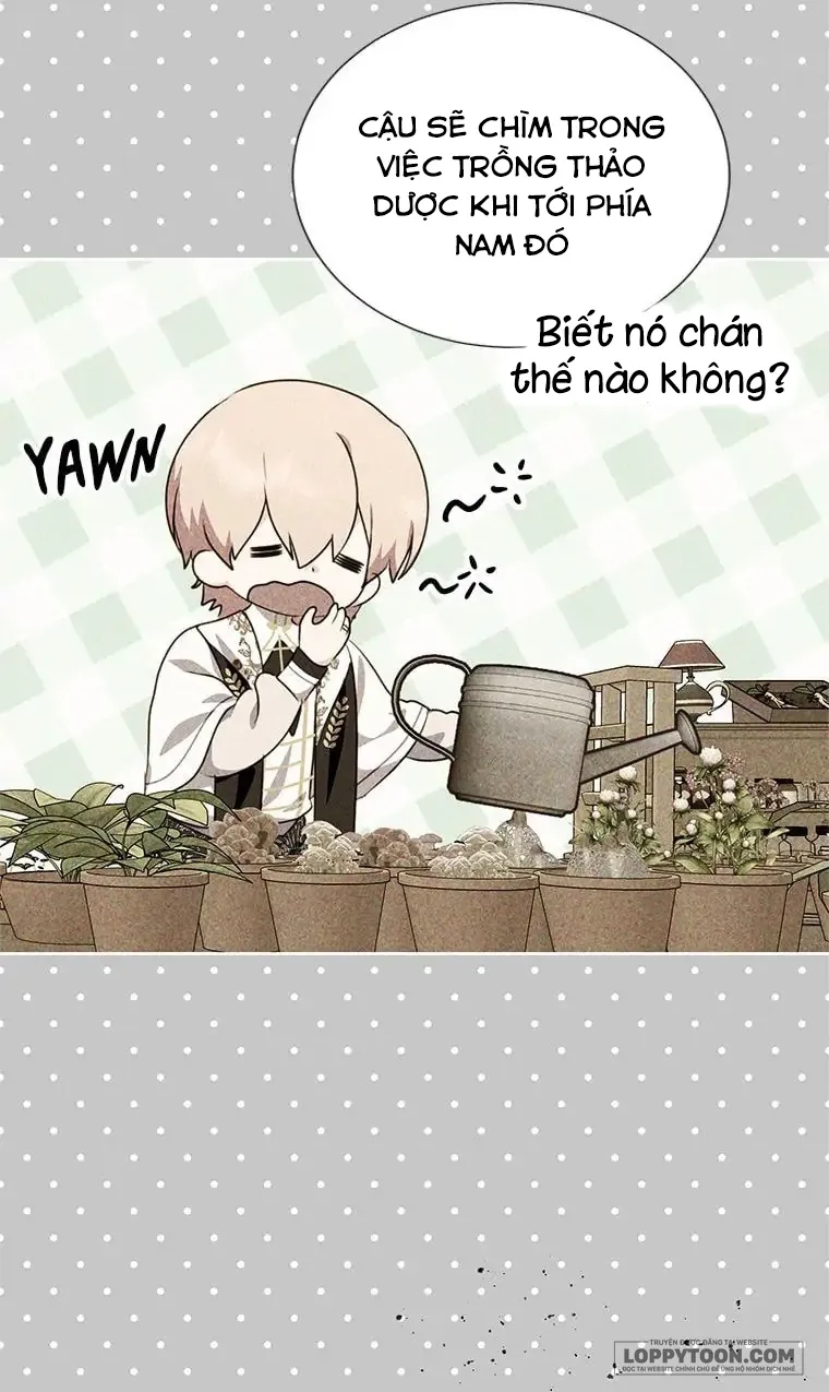 Phía Sau Mặt Nạ Của Nam Chính Hiền Lành - Chap 38 - Trang 17