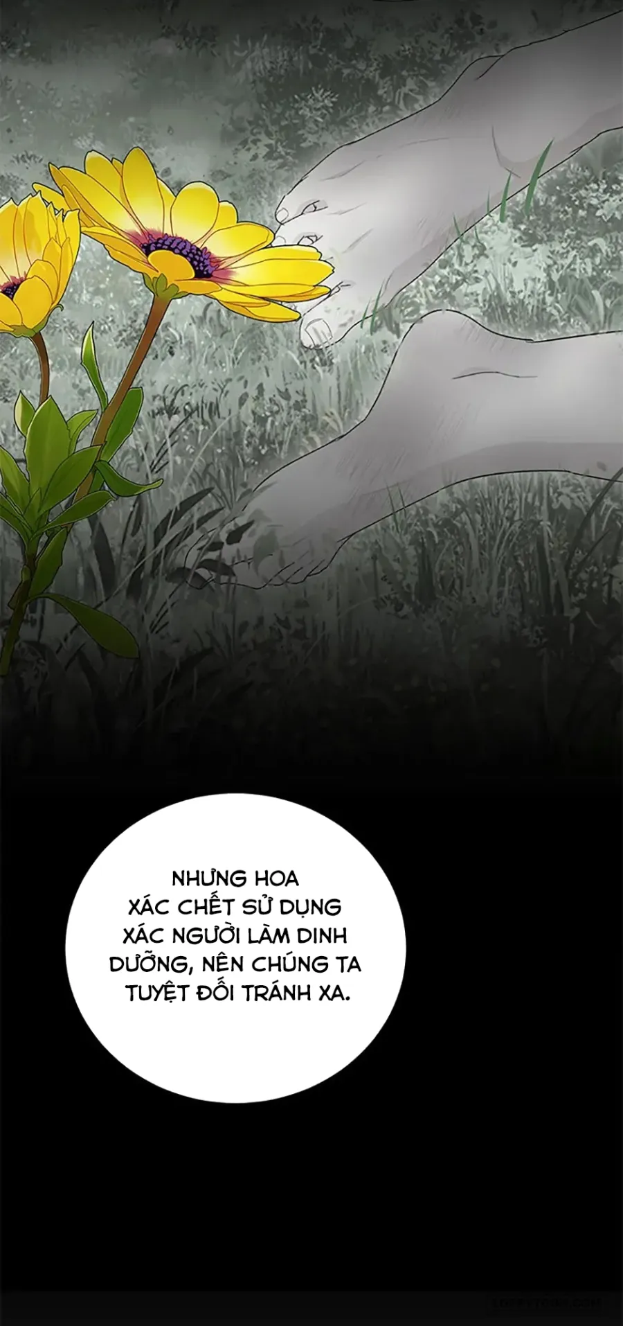 Phía Sau Mặt Nạ Của Nam Chính Hiền Lành - Chap 63 - Trang 26
