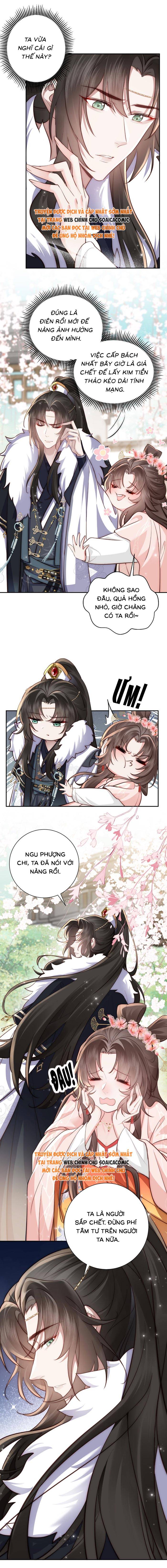 Phu Quân Ốm Yếu Cưng Chiều Ta Tận Trời - Chap 4 - Trang 7