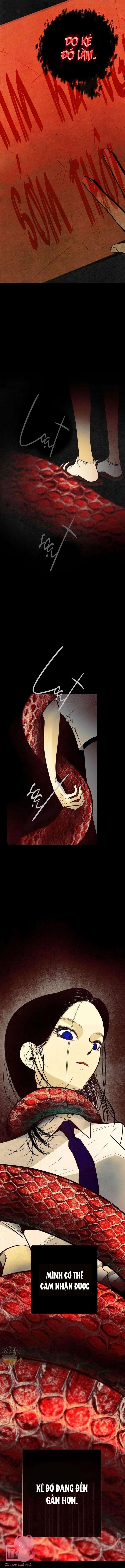 Phục Tùng - Chap 8 - Trang 4