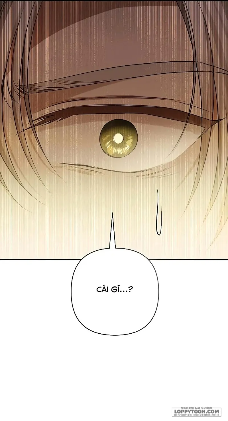 Presepe Bên Ngoài Chiếc Lồng - Chap 14 - Trang 27