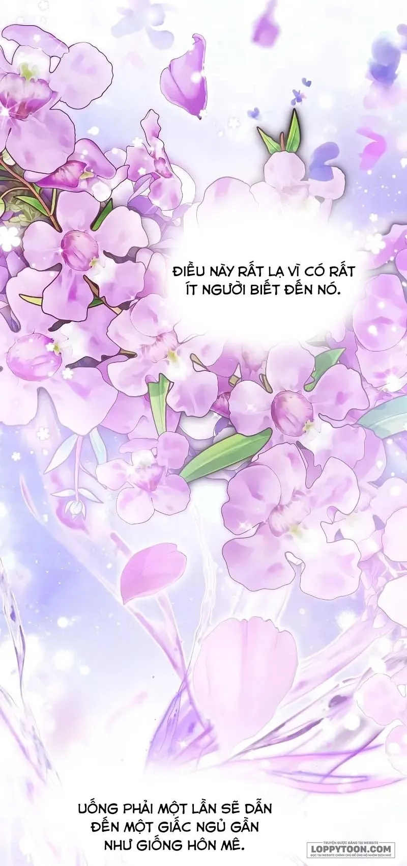 Presepe Bên Ngoài Chiếc Lồng - Chap 17 - Trang 5