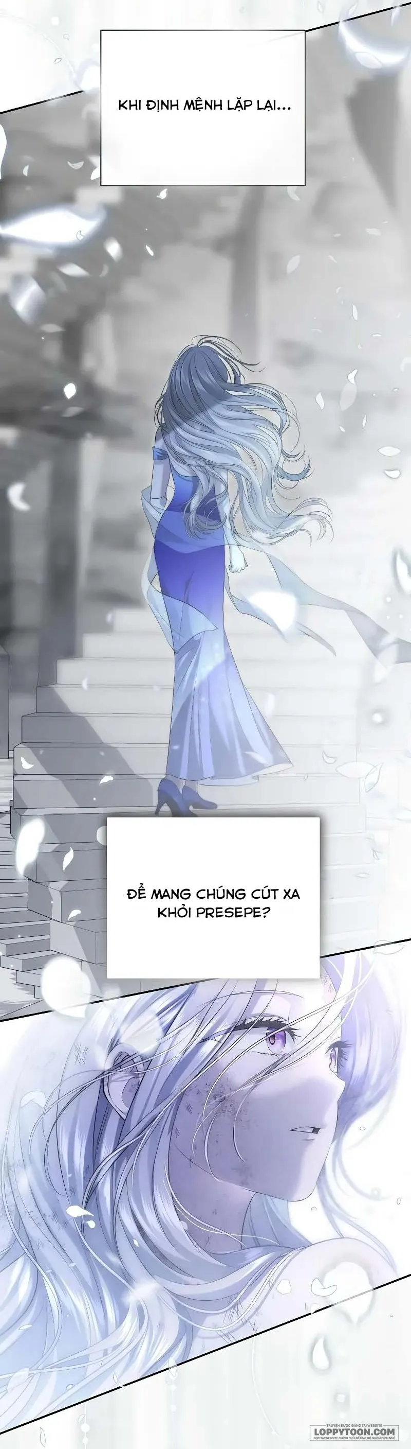 Presepe Bên Ngoài Chiếc Lồng - Chap 17 - Trang 52