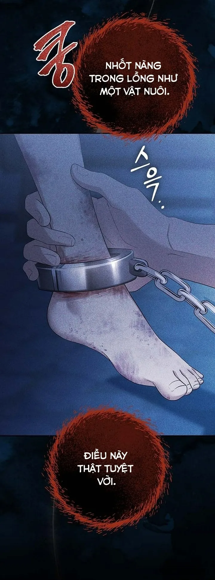 Presepe Bên Ngoài Chiếc Lồng - Chap 3 - Trang 71
