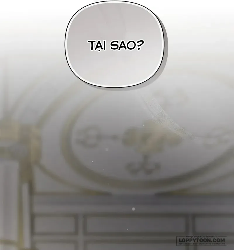 Presepe Bên Ngoài Chiếc Lồng - Chap 33 - Trang 17