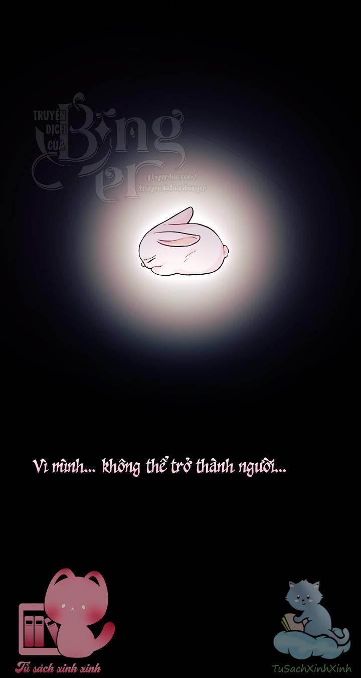 Quan Hệ Cộng Sinh Giữa Báo Đen Và Thỏ Trắng - Chap 1 - Trang 11