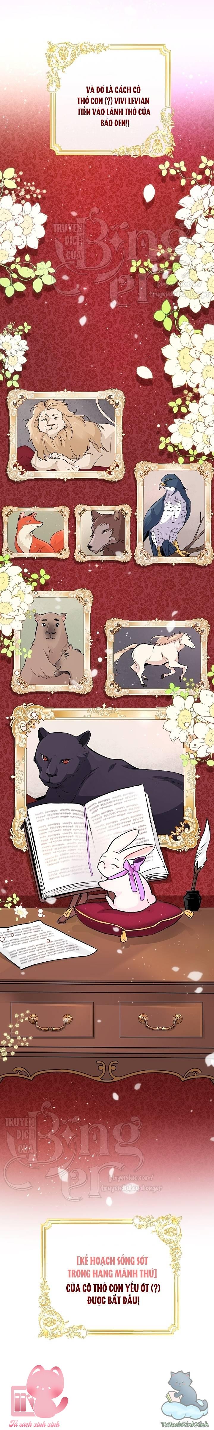 Quan Hệ Cộng Sinh Giữa Báo Đen Và Thỏ Trắng - Chap 1 - Trang 28