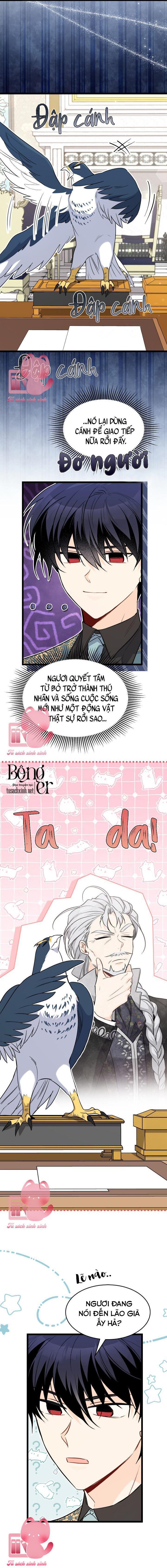 Quan Hệ Cộng Sinh Giữa Báo Đen Và Thỏ Trắng - Chap 100 - Trang 15