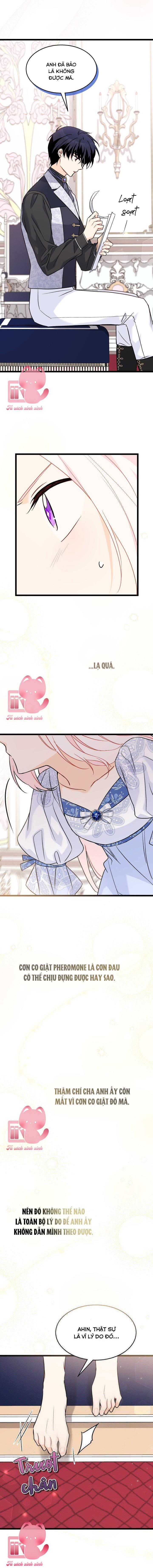 Quan Hệ Cộng Sinh Giữa Báo Đen Và Thỏ Trắng - Chap 103 - Trang 11