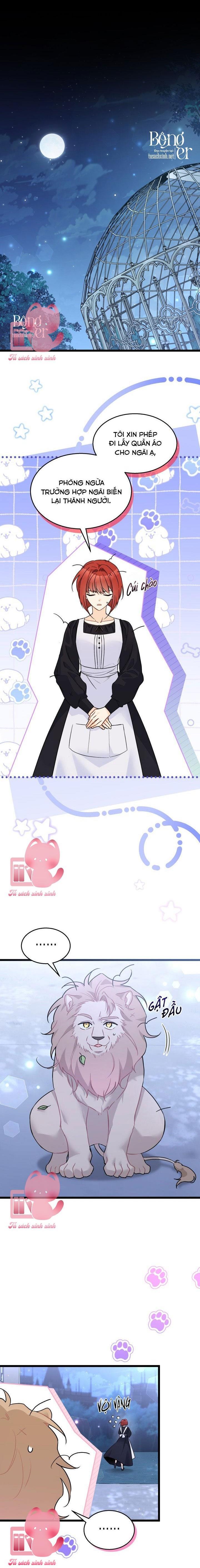 Quan Hệ Cộng Sinh Giữa Báo Đen Và Thỏ Trắng - Chap 107 - Trang 1