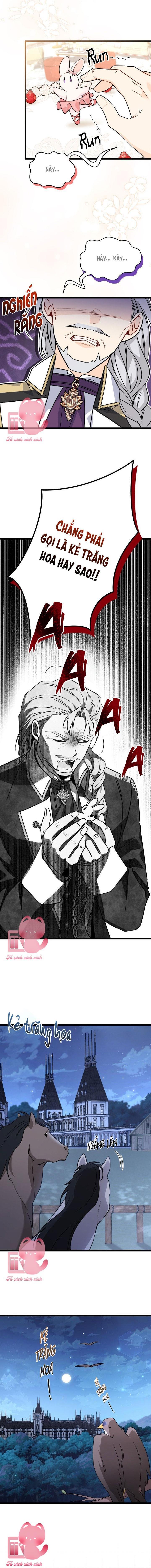 Quan Hệ Cộng Sinh Giữa Báo Đen Và Thỏ Trắng - Chap 107 - Trang 13