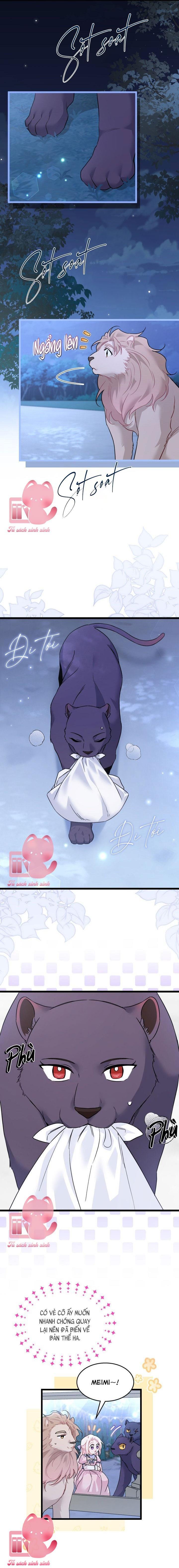 Quan Hệ Cộng Sinh Giữa Báo Đen Và Thỏ Trắng - Chap 107 - Trang 6