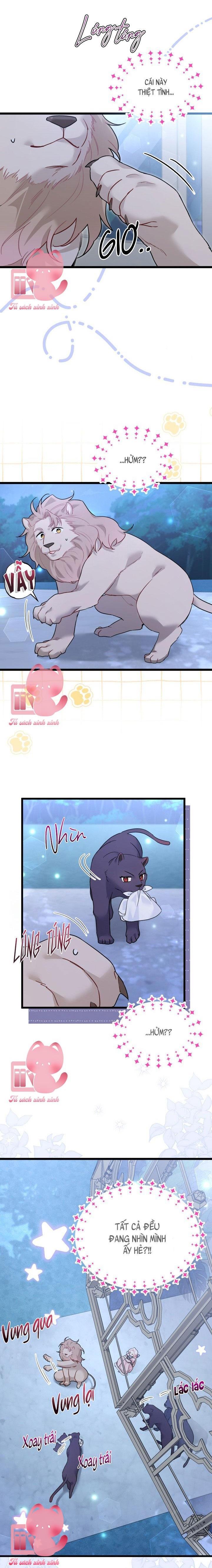 Quan Hệ Cộng Sinh Giữa Báo Đen Và Thỏ Trắng - Chap 107 - Trang 7