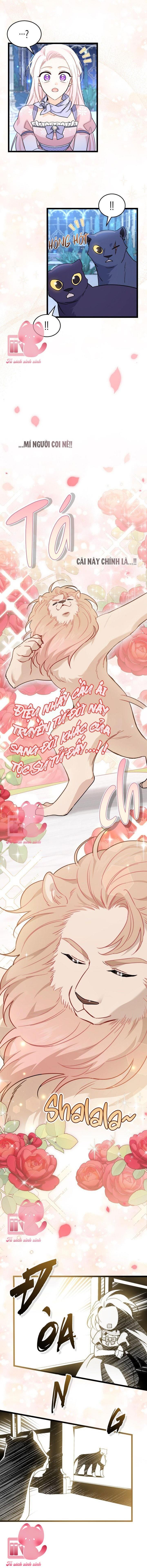 Quan Hệ Cộng Sinh Giữa Báo Đen Và Thỏ Trắng - Chap 107 - Trang 9