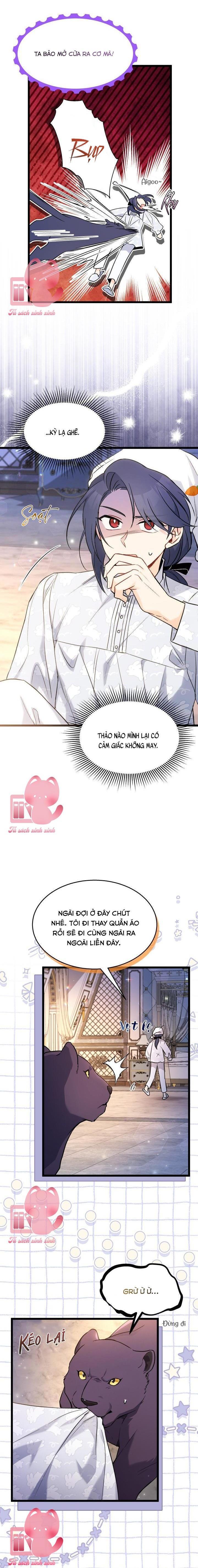 Quan Hệ Cộng Sinh Giữa Báo Đen Và Thỏ Trắng - Chap 111 - Trang 16