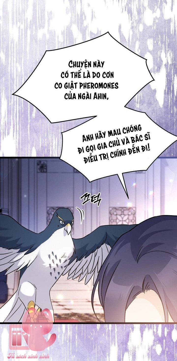 Quan Hệ Cộng Sinh Giữa Báo Đen Và Thỏ Trắng - Chap 115 - Trang 51