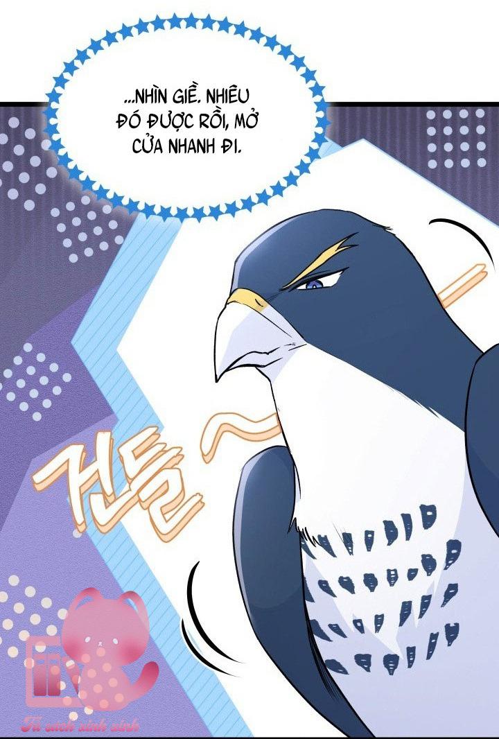 Quan Hệ Cộng Sinh Giữa Báo Đen Và Thỏ Trắng - Chap 115 - Trang 10