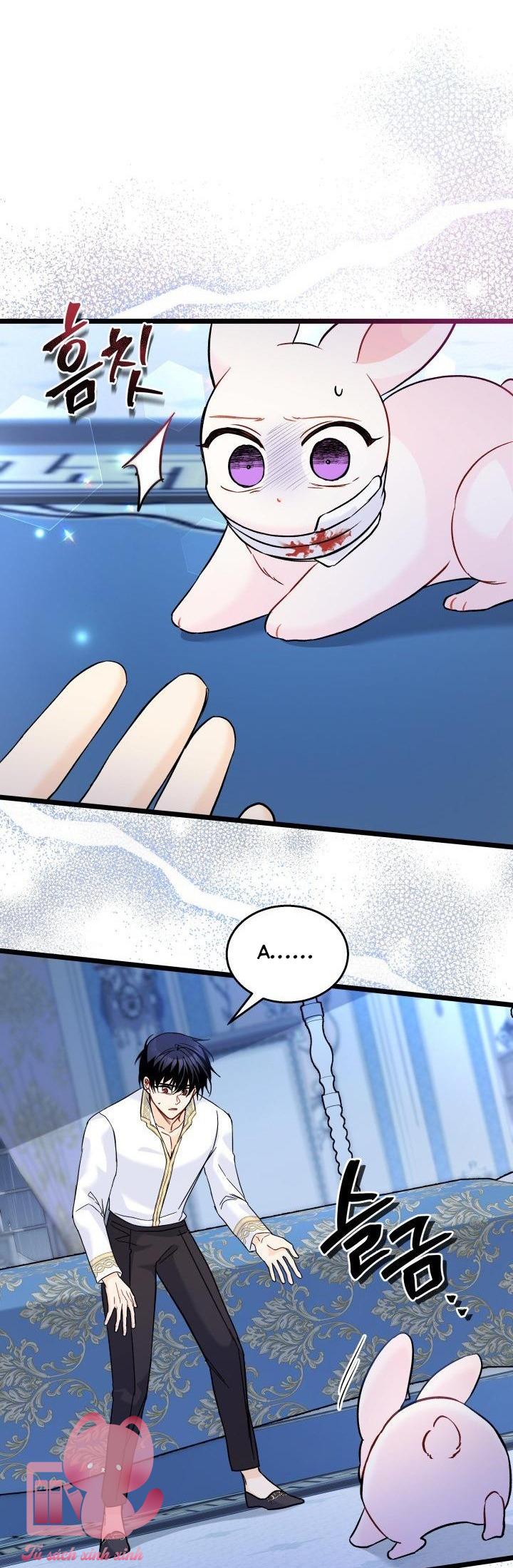 Quan Hệ Cộng Sinh Giữa Báo Đen Và Thỏ Trắng - Chap 120 - Trang 14