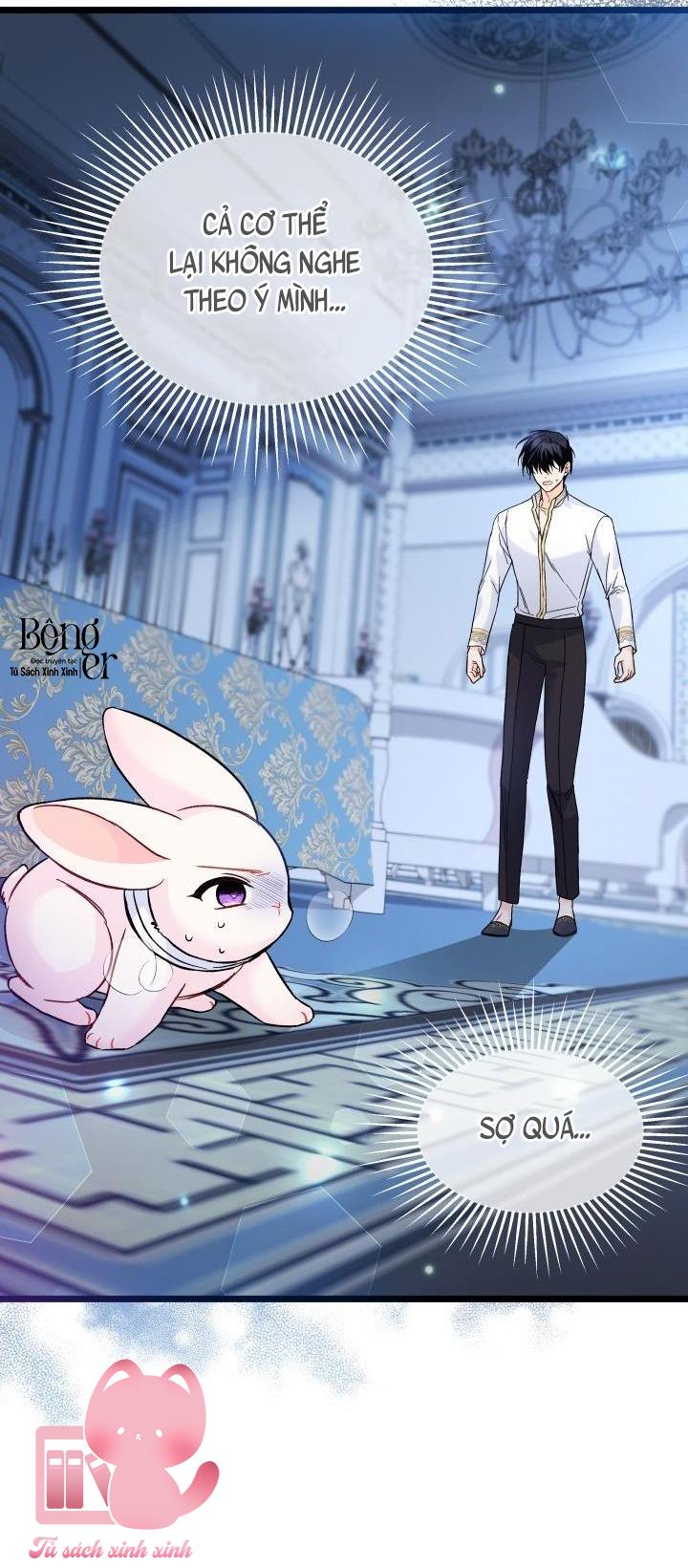 Quan Hệ Cộng Sinh Giữa Báo Đen Và Thỏ Trắng - Chap 120 - Trang 7