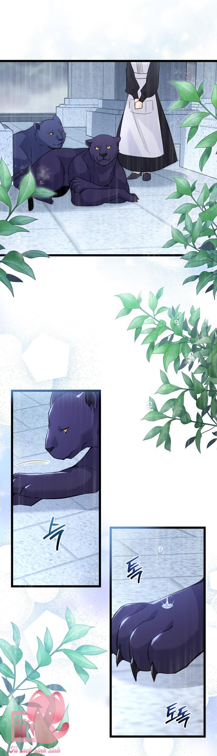 Quan Hệ Cộng Sinh Giữa Báo Đen Và Thỏ Trắng - Chap 121 - Trang 24