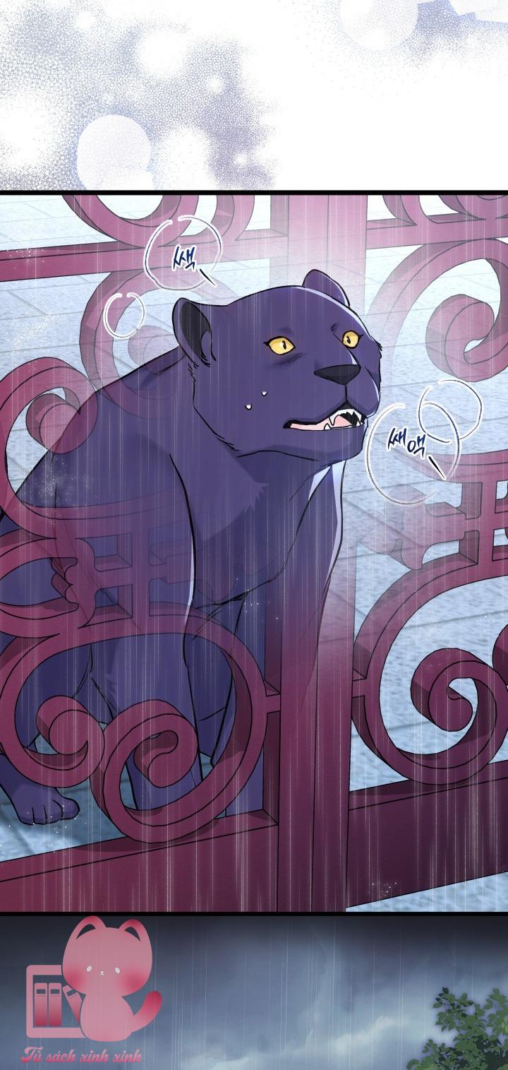 Quan Hệ Cộng Sinh Giữa Báo Đen Và Thỏ Trắng - Chap 121 - Trang 48