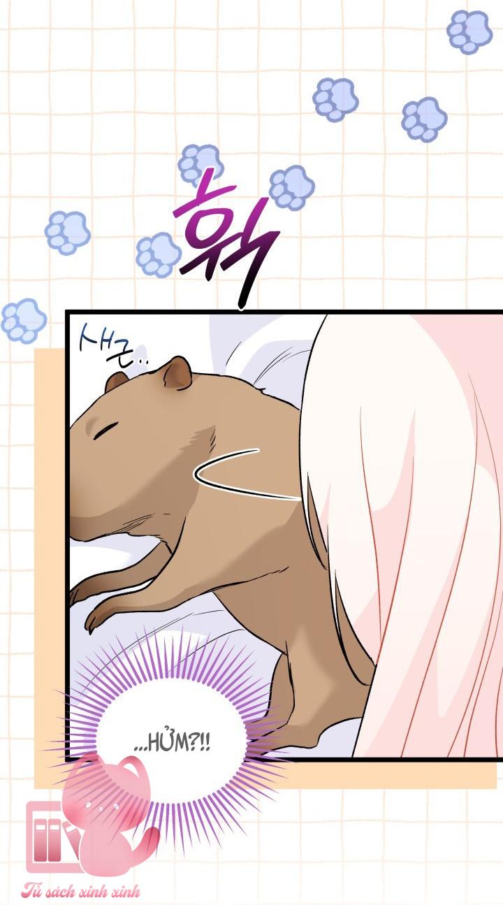Quan Hệ Cộng Sinh Giữa Báo Đen Và Thỏ Trắng - Chap 123 - Trang 19