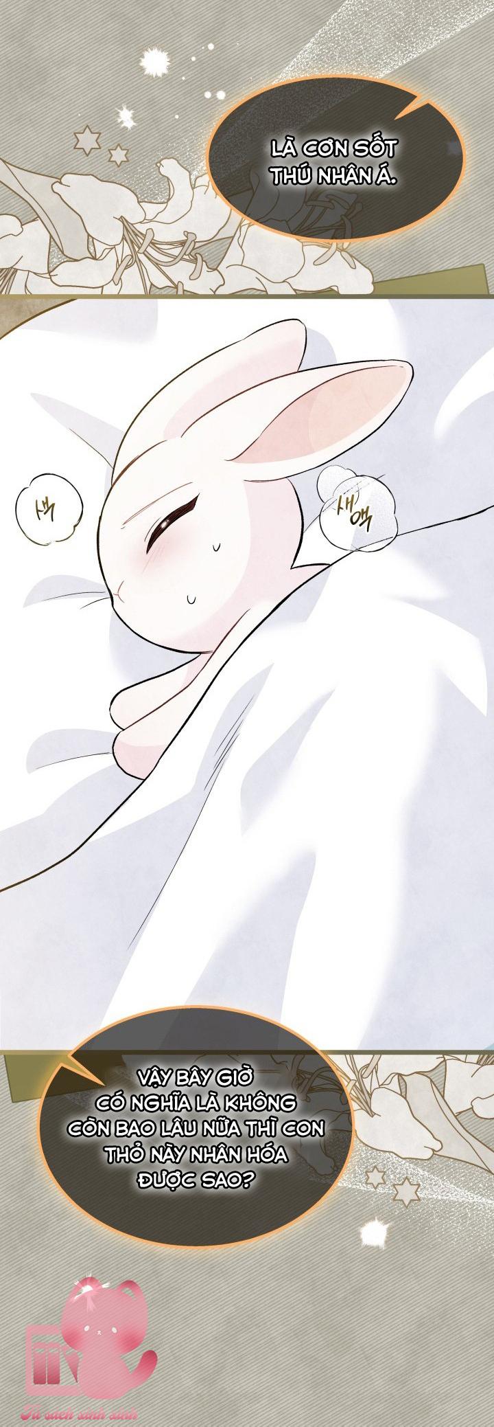 Quan Hệ Cộng Sinh Giữa Báo Đen Và Thỏ Trắng - Chap 123 - Trang 7
