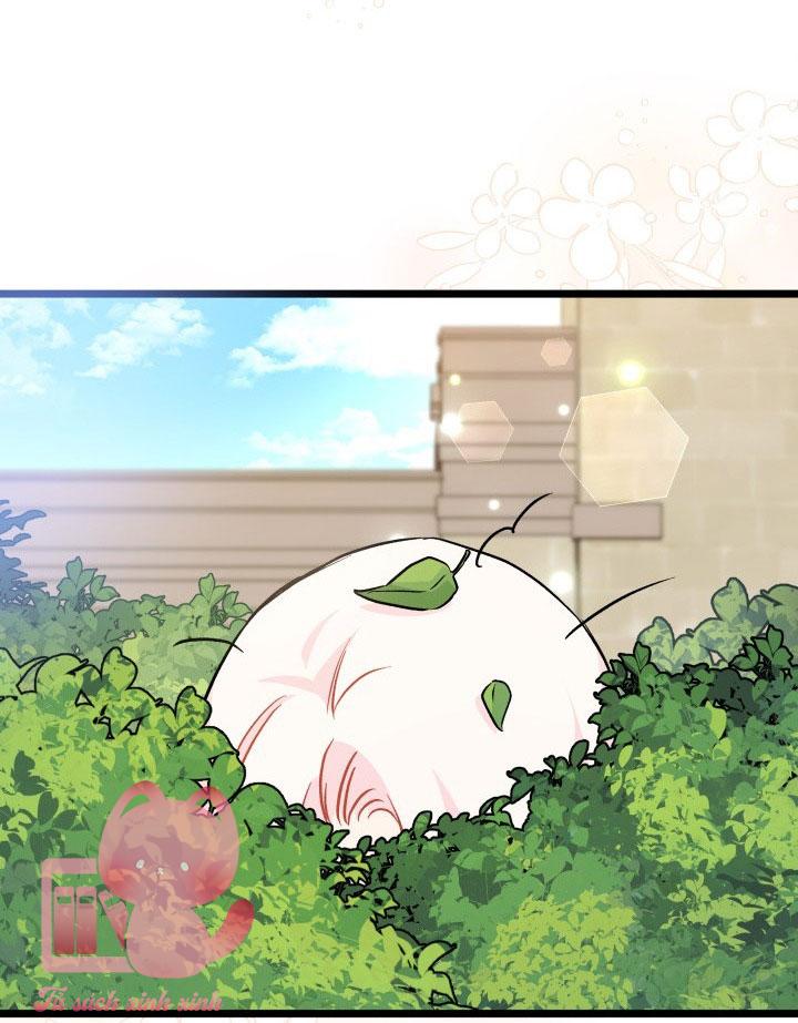 Quan Hệ Cộng Sinh Giữa Báo Đen Và Thỏ Trắng - Chap 126 - Trang 18