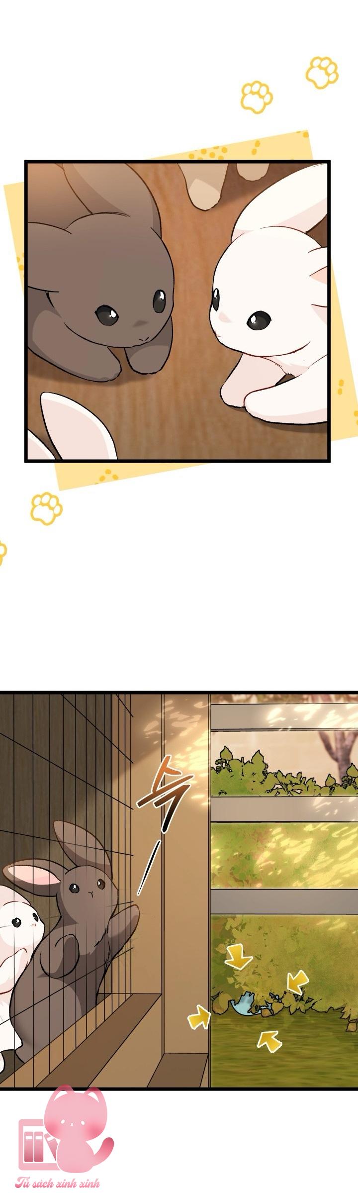 Quan Hệ Cộng Sinh Giữa Báo Đen Và Thỏ Trắng - Chap 128 - Trang 31
