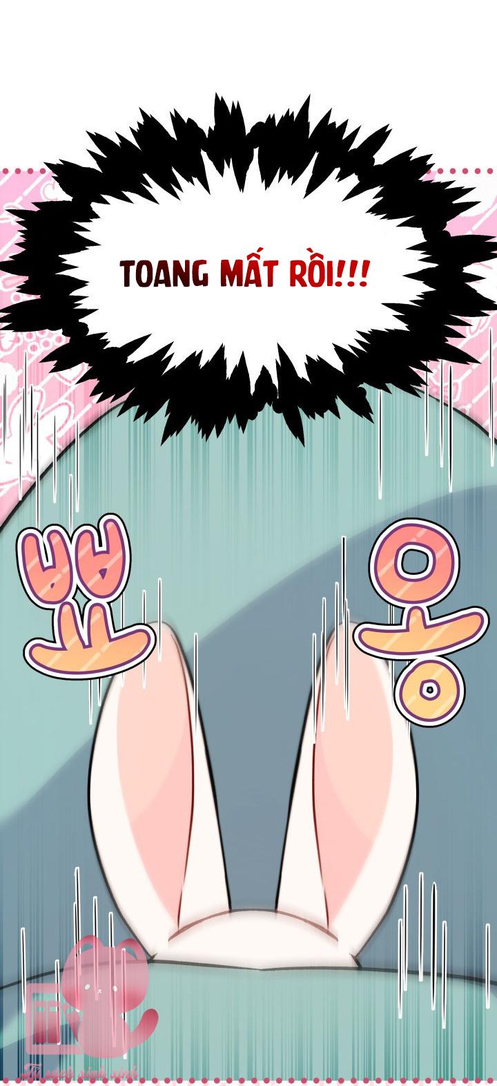 Quan Hệ Cộng Sinh Giữa Báo Đen Và Thỏ Trắng - Chap 130 - Trang 18