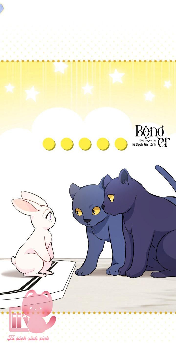Quan Hệ Cộng Sinh Giữa Báo Đen Và Thỏ Trắng - Chap 134 - Trang 13