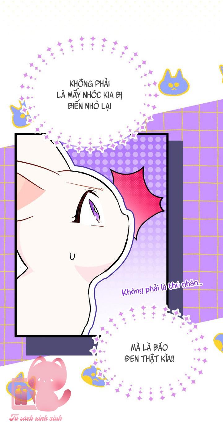 Quan Hệ Cộng Sinh Giữa Báo Đen Và Thỏ Trắng - Chap 134 - Trang 14