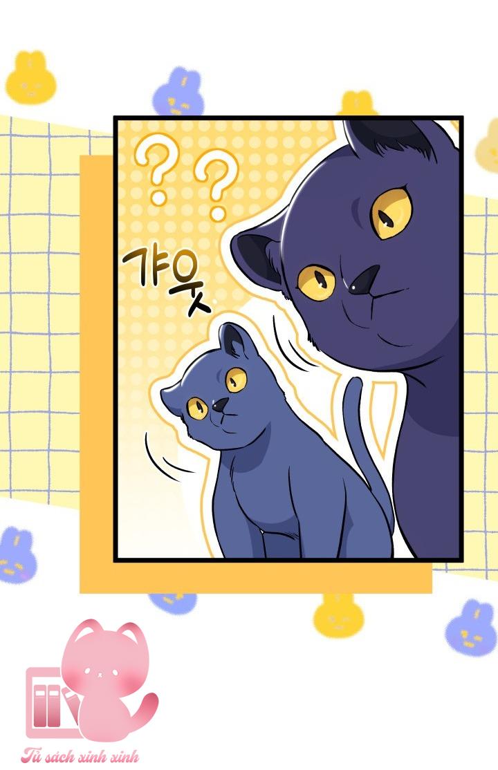 Quan Hệ Cộng Sinh Giữa Báo Đen Và Thỏ Trắng - Chap 134 - Trang 15