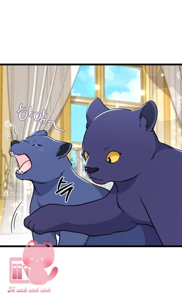 Quan Hệ Cộng Sinh Giữa Báo Đen Và Thỏ Trắng - Chap 134 - Trang 17