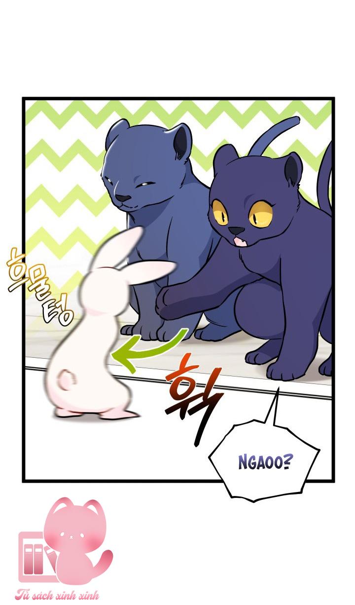Quan Hệ Cộng Sinh Giữa Báo Đen Và Thỏ Trắng - Chap 134 - Trang 18