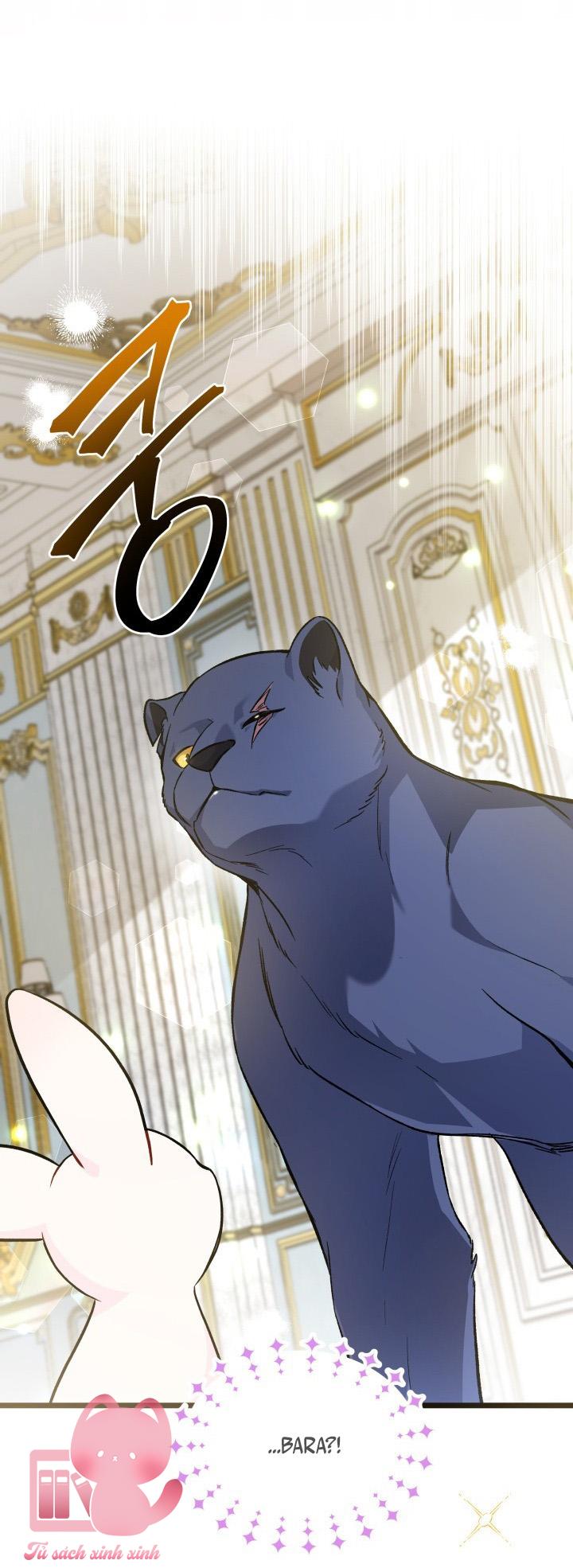 Quan Hệ Cộng Sinh Giữa Báo Đen Và Thỏ Trắng - Chap 134 - Trang 25