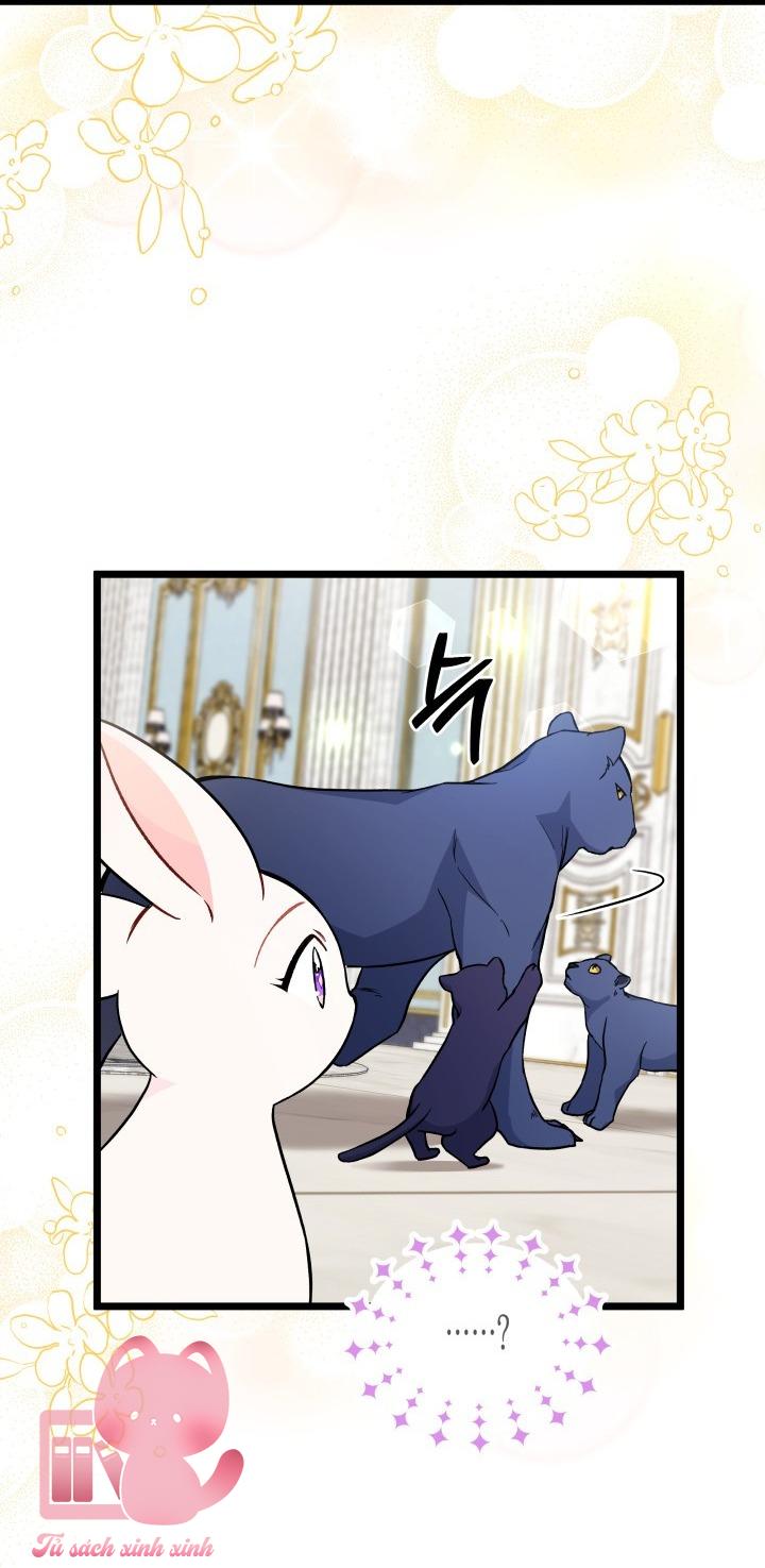 Quan Hệ Cộng Sinh Giữa Báo Đen Và Thỏ Trắng - Chap 134 - Trang 30