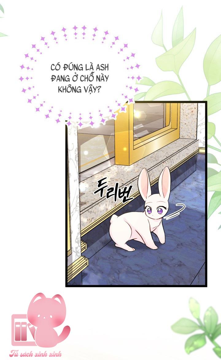 Quan Hệ Cộng Sinh Giữa Báo Đen Và Thỏ Trắng - Chap 134 - Trang 4