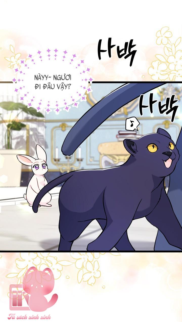Quan Hệ Cộng Sinh Giữa Báo Đen Và Thỏ Trắng - Chap 134 - Trang 31