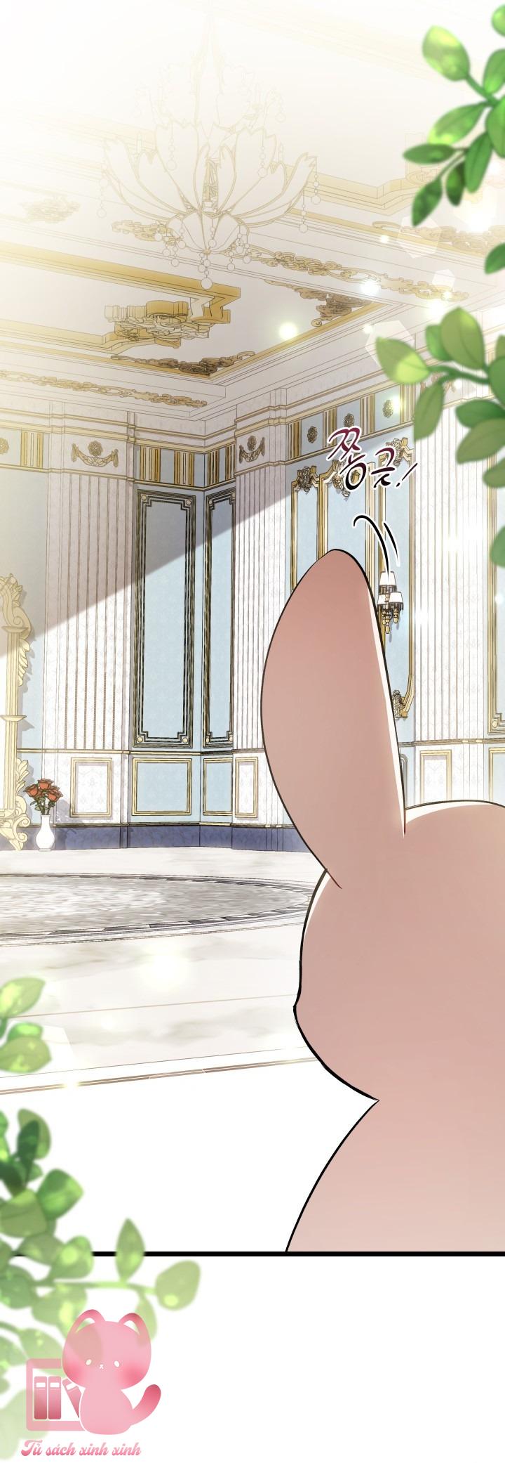 Quan Hệ Cộng Sinh Giữa Báo Đen Và Thỏ Trắng - Chap 134 - Trang 5