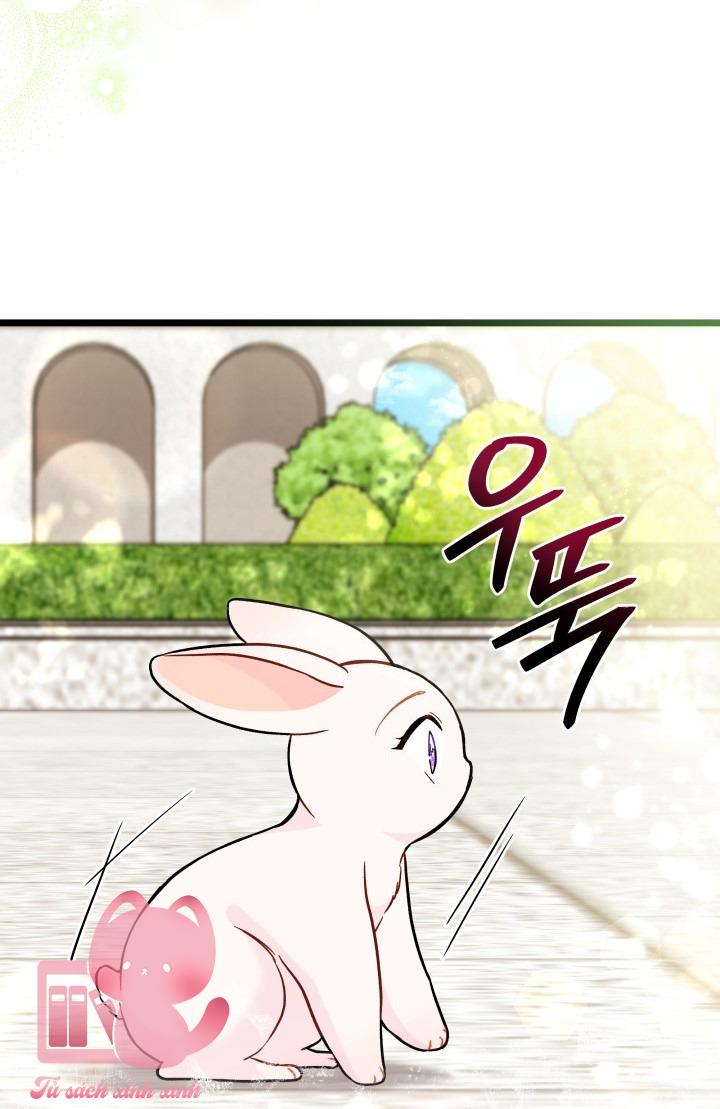 Quan Hệ Cộng Sinh Giữa Báo Đen Và Thỏ Trắng - Chap 134 - Trang 41