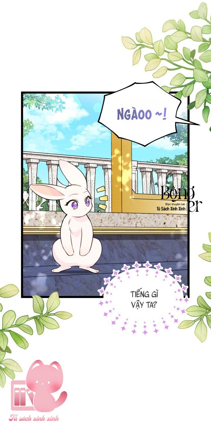 Quan Hệ Cộng Sinh Giữa Báo Đen Và Thỏ Trắng - Chap 134 - Trang 6