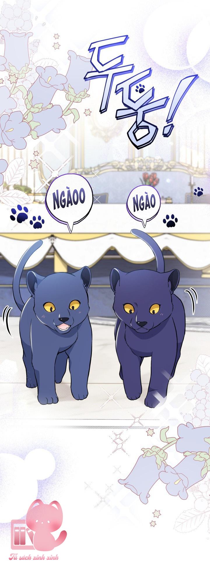 Quan Hệ Cộng Sinh Giữa Báo Đen Và Thỏ Trắng - Chap 134 - Trang 8
