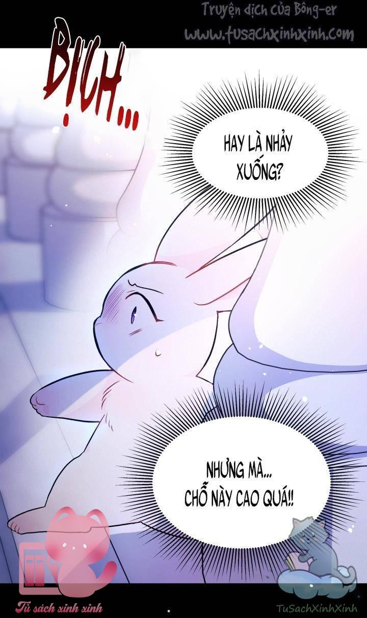 Quan Hệ Cộng Sinh Giữa Báo Đen Và Thỏ Trắng - Chap 14 - Trang 12