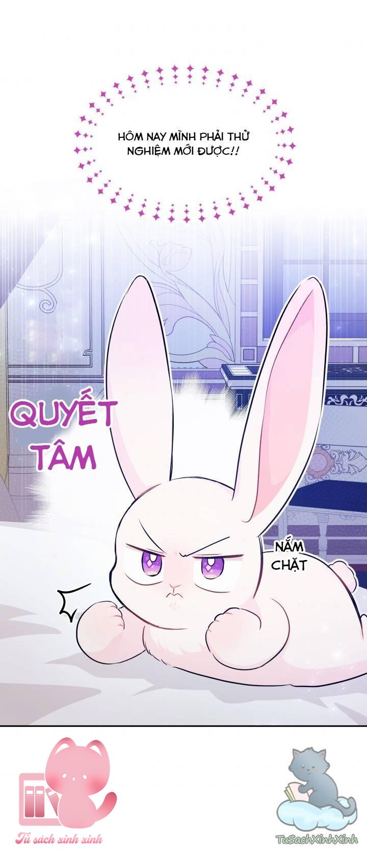 Quan Hệ Cộng Sinh Giữa Báo Đen Và Thỏ Trắng - Chap 16 - Trang 28