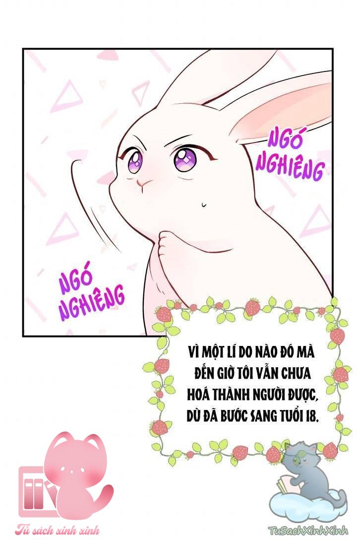 Quan Hệ Cộng Sinh Giữa Báo Đen Và Thỏ Trắng - Chap 2 - Trang 3