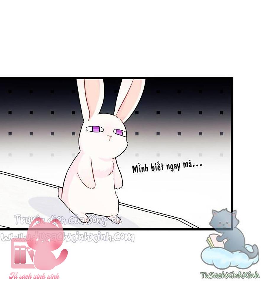 Quan Hệ Cộng Sinh Giữa Báo Đen Và Thỏ Trắng - Chap 22 - Trang 15