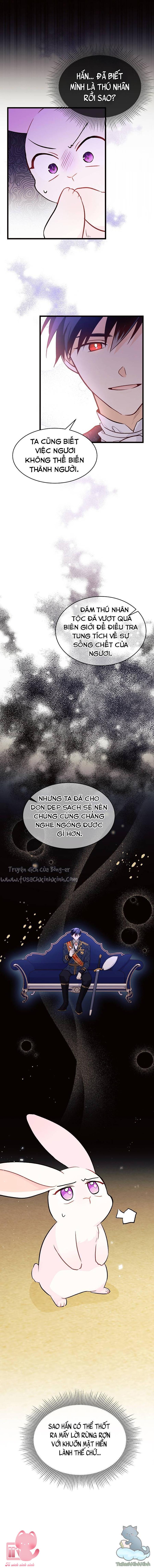 Quan Hệ Cộng Sinh Giữa Báo Đen Và Thỏ Trắng - Chap 22 - Trang 29